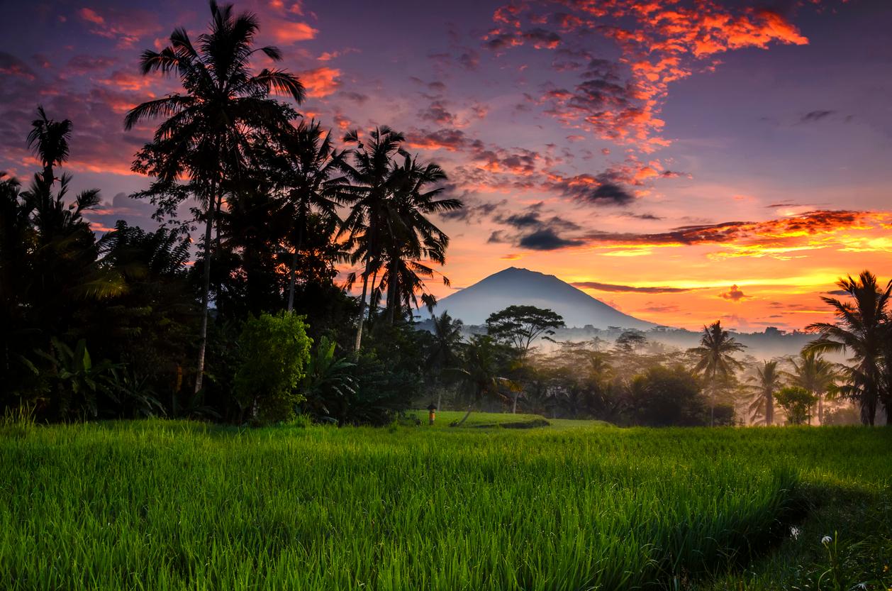 A Thoughtful Guide To Exploring Ubud