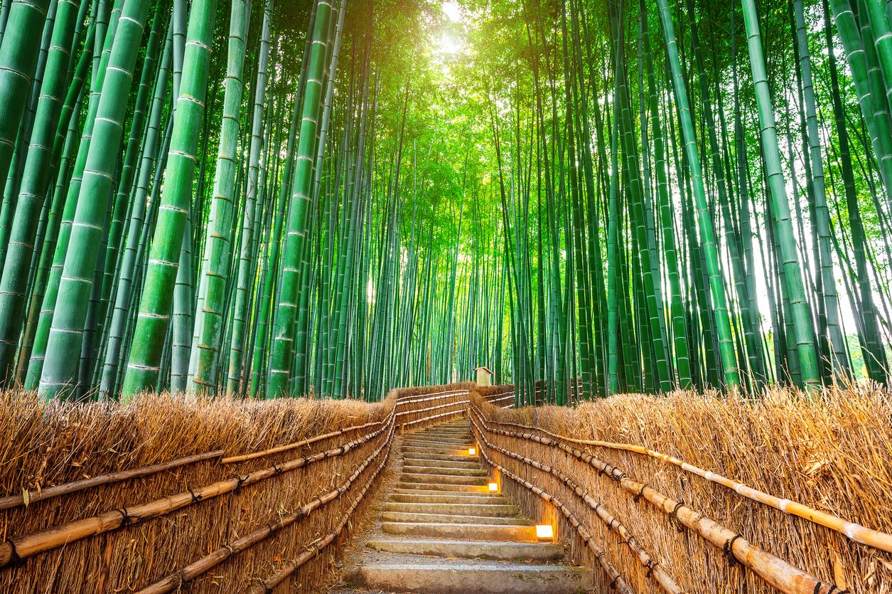 Experiencing Bali Beyond The Tourist Trail